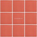 Mexican Talavera Tiles Mamey Washed